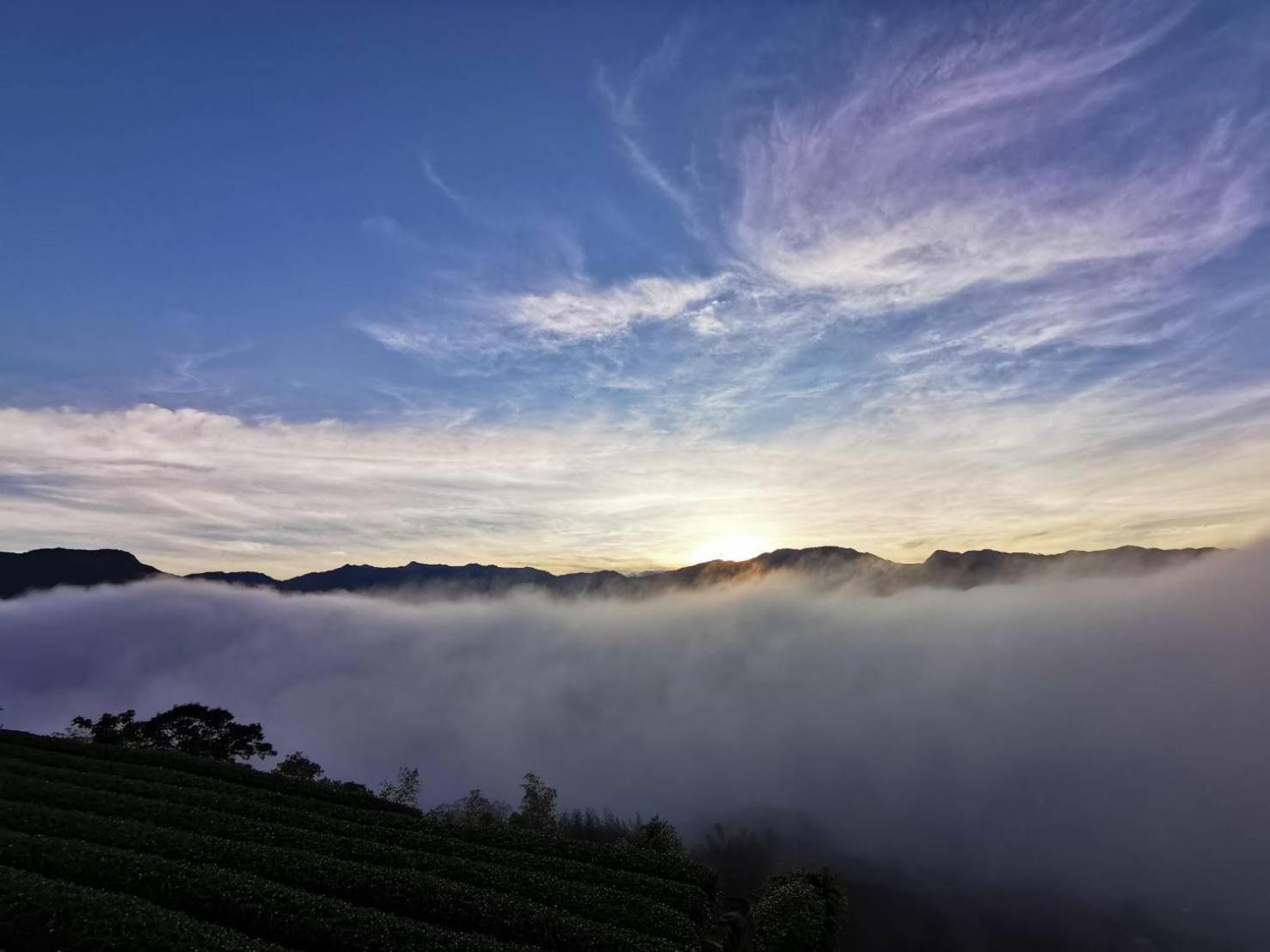 Alishan Tea Garden B&B Fenchihu Exteriér fotografie